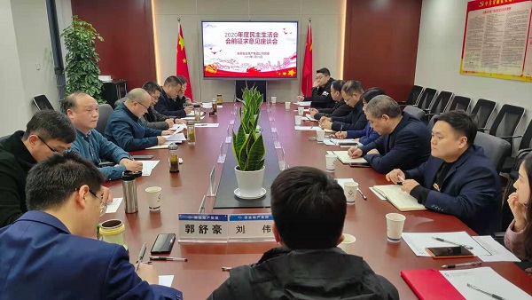 安徽意大利贵宾会地产集团公司党委召开2020年度民主生涯会前征求意见座谈会