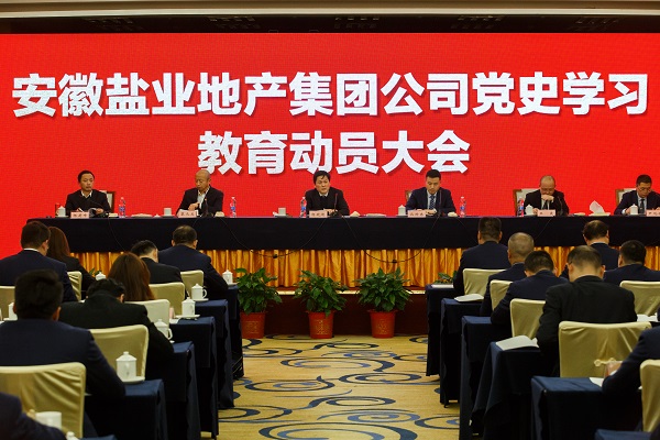 安徽意大利贵宾会地产集团公司召开党史学习教育发动大会