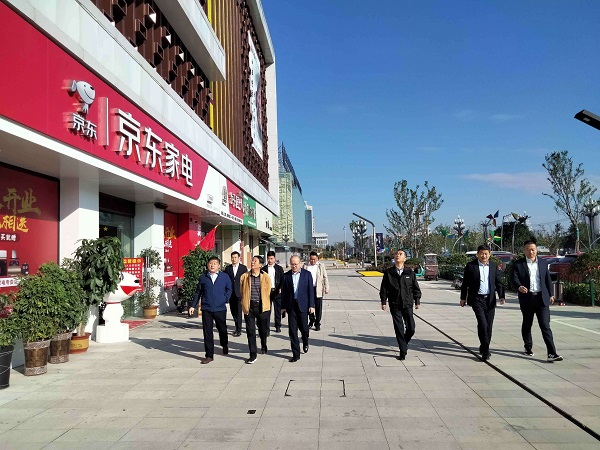 省意大利贵宾会集团公司外部董事调研徽盐地产集团在建项目