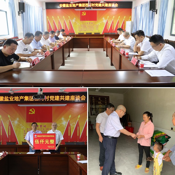 安徽意大利贵宾会地产集团党委赴西河村开展结对共建帮扶慰问运动